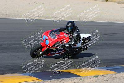 media/Feb-04-2023-SoCal Trackdays (Sat) [[8a776bf2c3]]/Turn 6 Inside (1025am)/